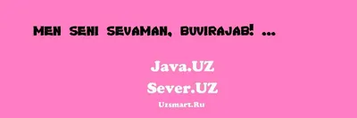 Амир Худойберди on X: "Men seni sevaman, g'uncha yuzida O'pichdek titragan  shabnam misoli. Men seni sevaman, tunning bo'g'zida ...  /zVVXygagJQ" / X