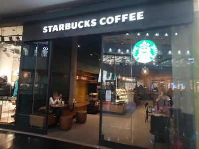 Осеннее меню Starbucks выходит рано, и все приправлено тыквой