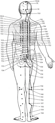 Точки иглорефлексотерапии: виды стандартных акупунктурных точек, к чему  приводит нарушение циркуляции энергии в меридианах?
