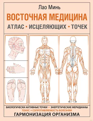 12 Энергетических Меридианов | Центр восточной медицины