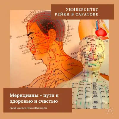 Книга Атлас акупунктурных точек и меридианов вып.7 / Усакова - купить  спорта, красоты и здоровья в интернет-магазинах, цены на Мегамаркет |  9785000531778