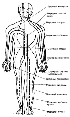 меридианы | Массаж.ру