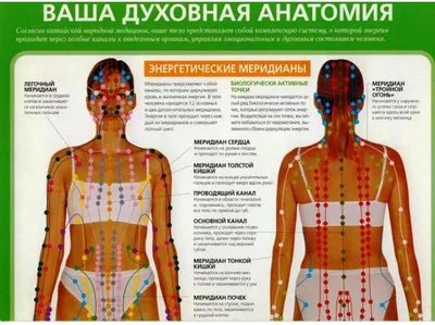 Точки иглорефлексотерапии: виды стандартных акупунктурных точек, к чему  приводит нарушение циркуляции энергии в меридианах?