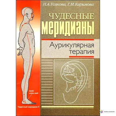 Чего вы могли не знать о нашем организме, меридианы, кинезиология | Саша  Грэй | Дзен