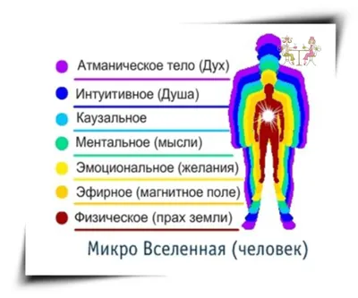 40 см/52 см китайская медицина Мужская/женская модель меридиана тела  человека акупунктурная модель Обучающие медицинские приборы | AliExpress