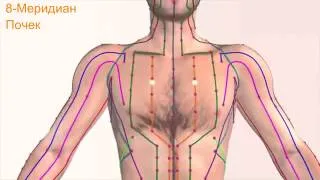 Ясная модель акупунктуры человеческого тела Массаж традиционной китайской  медицины Тонгрен полностью Меридиан тела стрелка Обучение прижиганию  мужские и женские Злодей