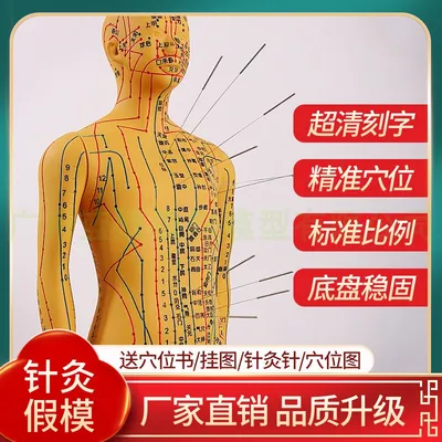 Акупунктурная модель человеческого тела, мужские и женские меридианы,  модель, диаграмма, основа для книги 48/50 см | AliExpress
