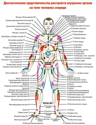 Полынный молоток, ручной массаж, воздействует на меридианы тела купить по  низкой цене с доставкой в интернет-магазине OZON (1323812498)