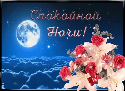 Всем спокойной ночи и хороших добрых снов!