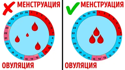 Книга "Привет, Месячные! Простой гид, который позволит тебе стать экспертом  в области месячных. С ответами на все вопросы — даже на глупые  (мягк.обл.)". Автор Юми Стайнс, Мелисса Канг. Издательство Белая ворона  978-5-00114-213-3