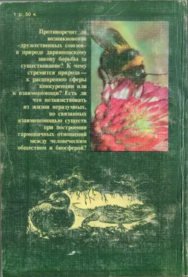 я просто посмотреть [чужие картинки] [редкодыбр] [рисовач] [yes commen  (Страница 3) / БЕЗБЛОГNМ / Холиварофорум