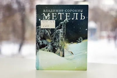 Из-за метели в Новосибирской области 45 детей не смогли добраться до школы