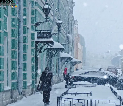 Зимний снегопад и метель в городе: люди защищаются от штормового ветра  прогулкой по тротуару с зонтиком | Премиум Фото