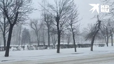 Метель в городе. Настоящая праздничная погода наступила в Луганске в  последний день новогодних каникул - Лента новостей Луганска