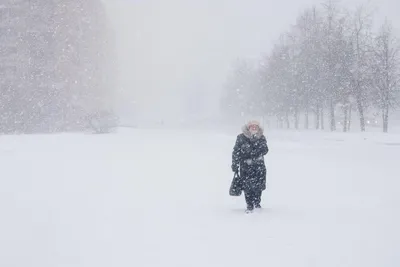 Метель в городе