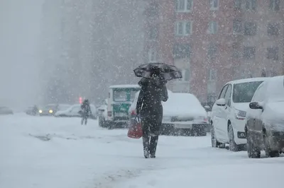 Байр Таня. В Городе Метель...