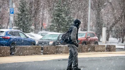 В последний день осени в Югре прогнозируют метель и сильный ветер |  Общество | Информационно-аналитический интернет портал  -  Новости Югры