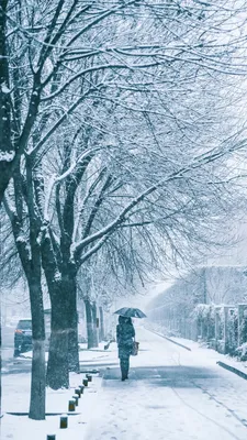В Тюменской области ожидаются снег и метель - Тюменская линия