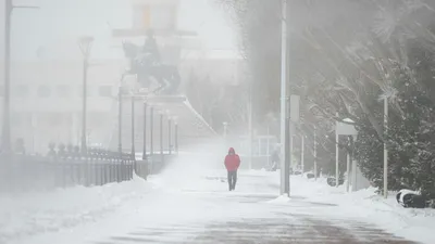 Завтра в Новгородской области ожидается метель и гололёд