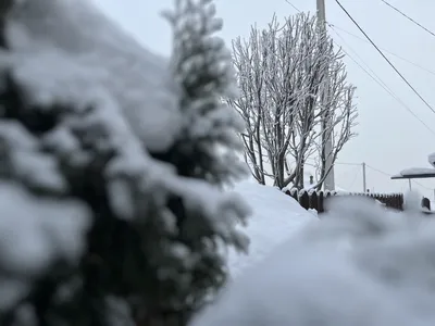 На Латвию снова надвигается метель: она продлится всю среду / Статья