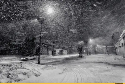 ФОТО: В Нарве тоже снегопад и метель - Delfi RUS