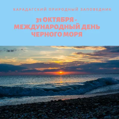 Международный день Черного моря - РИА Новости, 