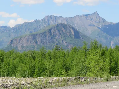 Международный день гор | International Mountain Day | День в истории |  GreenPost