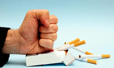 Международный день отказа от курения–  года |  |  Архангельск - БезФормата