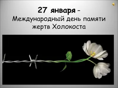 27 января - Международный день памяти жертв Холокоста!
