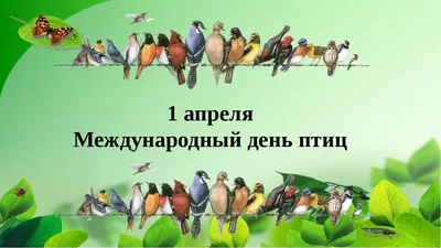 Международный день птиц - РИА Новости, 