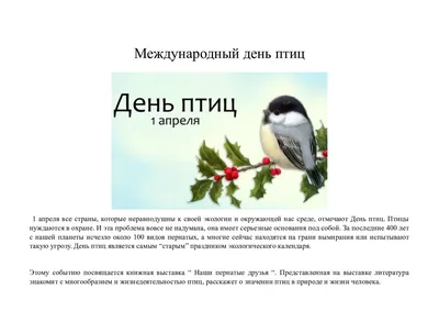 День птиц | Официальный сайт МНБОУ "Лицей 76"