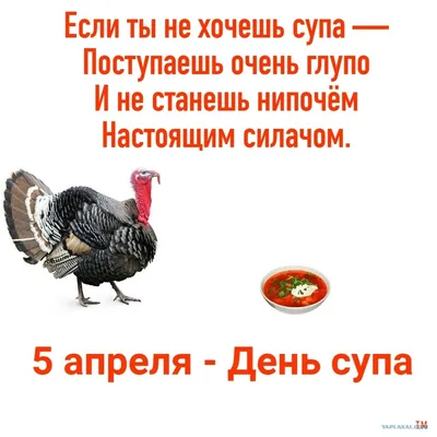 День Диско-Суп - Slow Food