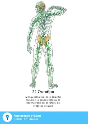 День защиты мужской нервной системы - Праздники сегодня | Праздник,  Открытки, Красивые цитаты