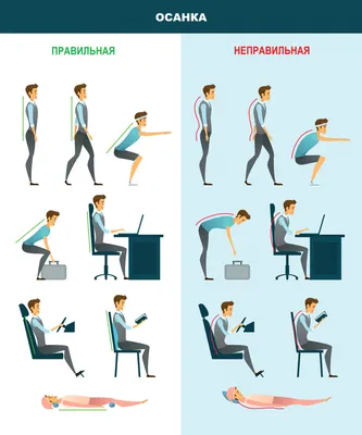 грыжа позвоночник / смешные картинки и другие приколы: комиксы, гиф  анимация, видео, лучший интеллектуальный юмор.