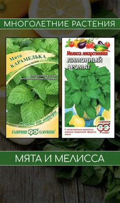 Семена Мята и мелисса «Набор для чая»  г по цене 34 ₽/шт. купить в  Калуге в интернет-магазине Леруа Мерлен