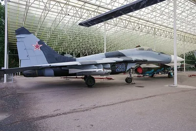Истребители ВКС РФ сбили украинский МиГ-29 в ДНР | Армия | Общество |  Аргументы и Факты