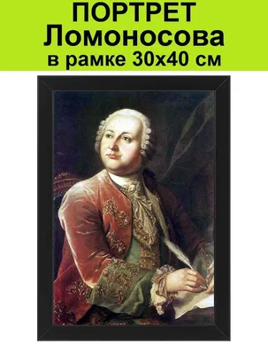 Книга Михаил Васильевич Ломоносов. Жизнеописание - купить биографий и  мемуаров в интернет-магазинах, цены на Мегамаркет |