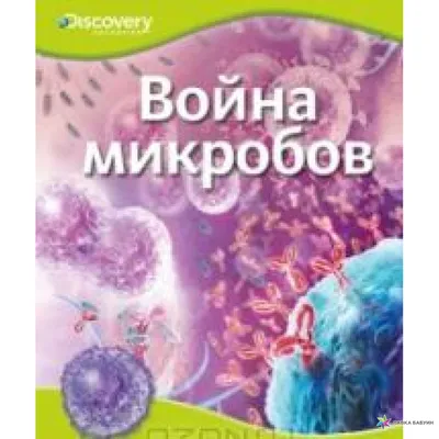 бесшовные модели бактерий и микробов Фон, вирус, мультфильм, Мероприятия  фон картинки и Фото для бесплатной загрузки