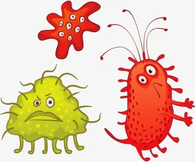 Тематический комплект "Микробы, вирусы и бактерии"