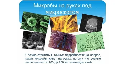 Микробы на руках картинки для детей - 23 фото