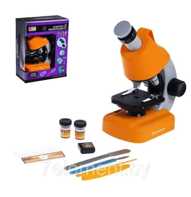 Viki Ki Микроскоп для детей с образцами