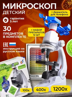11577 руб. - Купить школьный микроскоп для детей Микромед С-11 светодиодный  в Москве, продажа детских микроскопов для школьника в интернет-магазине