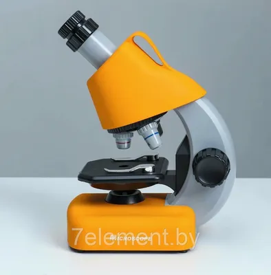 Levenhuk LabZZ M101  Микроскоп для детей - Каталог / Другие Товары  / Детское Творчество /  - Крупнейший детский магазин  (интернет-магазин)