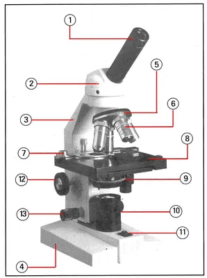 Микроскопа без обозначений картинки