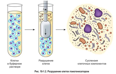 ГОСТ 21006-75: Микроскопы электронные. Термины, определения и буквенные  обозначения