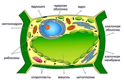 12129-03: ИМЦЛ 100х50,А Микроскопы инструментальные - Производители,  поставщики и поверители