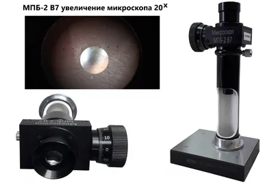 Бинокулярный комбинированный микроскоп-AmScope 40X-2500X | AliExpress