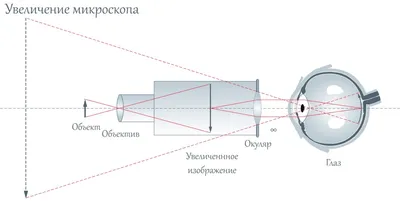 Обзор учебного биологического микроскопа AOMEKIE 64-640