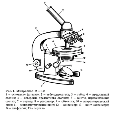 Светодиодный кольцевой микроскоп с подсветкой, источник света для  монокуляра, тринокулярного микроскопа, устранение тени - купить по выгодной  цене | AliExpress