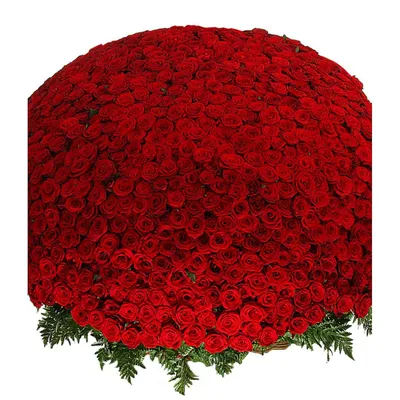 Миллион, миллион, миллион алых роз …» — создано в Шедевруме